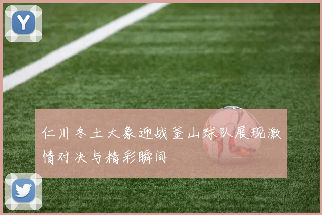 仁川冬土大象迎战釜山球队展现激情对决与精彩瞬间